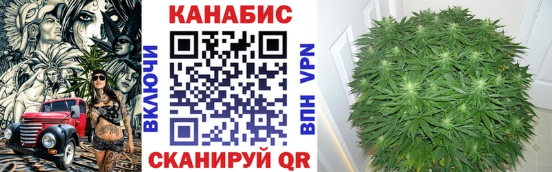 купить наркотик  Сланцы  Шишки марихуана ГИДРОПОН 